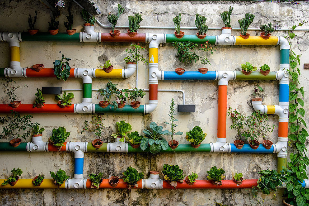 Urban farming is booming, but what does it really yield?